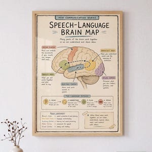 Pôster do Mapa Cerebral da Fala e da Linguagem, para Fonoaudiologia em Sala de Aula, Download Digital