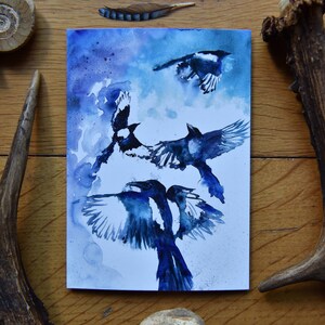 Pie, art Carte de voeux nature, oiseau, folklore, conte de fées, nature sauvage, faune