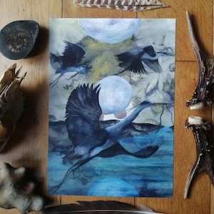 Lámina artística A4 «Garza, llévame a casa»: crianza, naturaleza, animismo