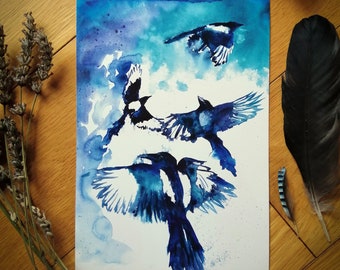 Magpie A5 Print Watercolour, nature, bird, art