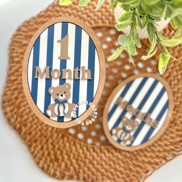 Bear Milestone signs, Birth Announcement, Name Sign,Hi My Name Is,Newborn Photo Prop, Baby Boy Birth Sign, Teddy Bear Baby Sign,