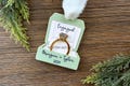 Personalized Engaged Ornament, Gifts for Couples, Future Mrs, Future Mr, Ornament 2024