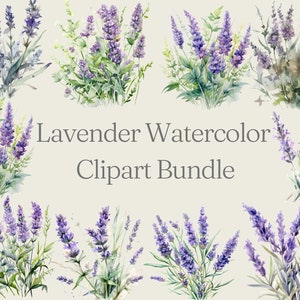 Watercolor Lavender Clipart Bundle, Watercolor Floral Clipart, Purple Lavender PNG & SVG Digital Download Bundle, Wedding Clipart