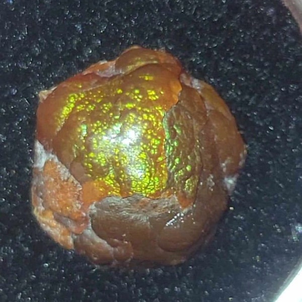 Chihuahua Mexico Fire Agate 6.15 ct