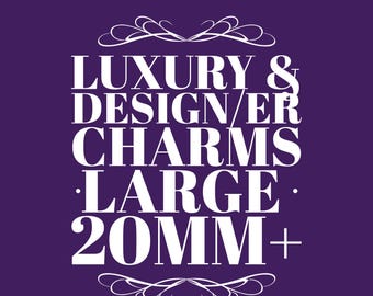 Luxury Design/er DIY Metal and Acrylic Charms Med Lg