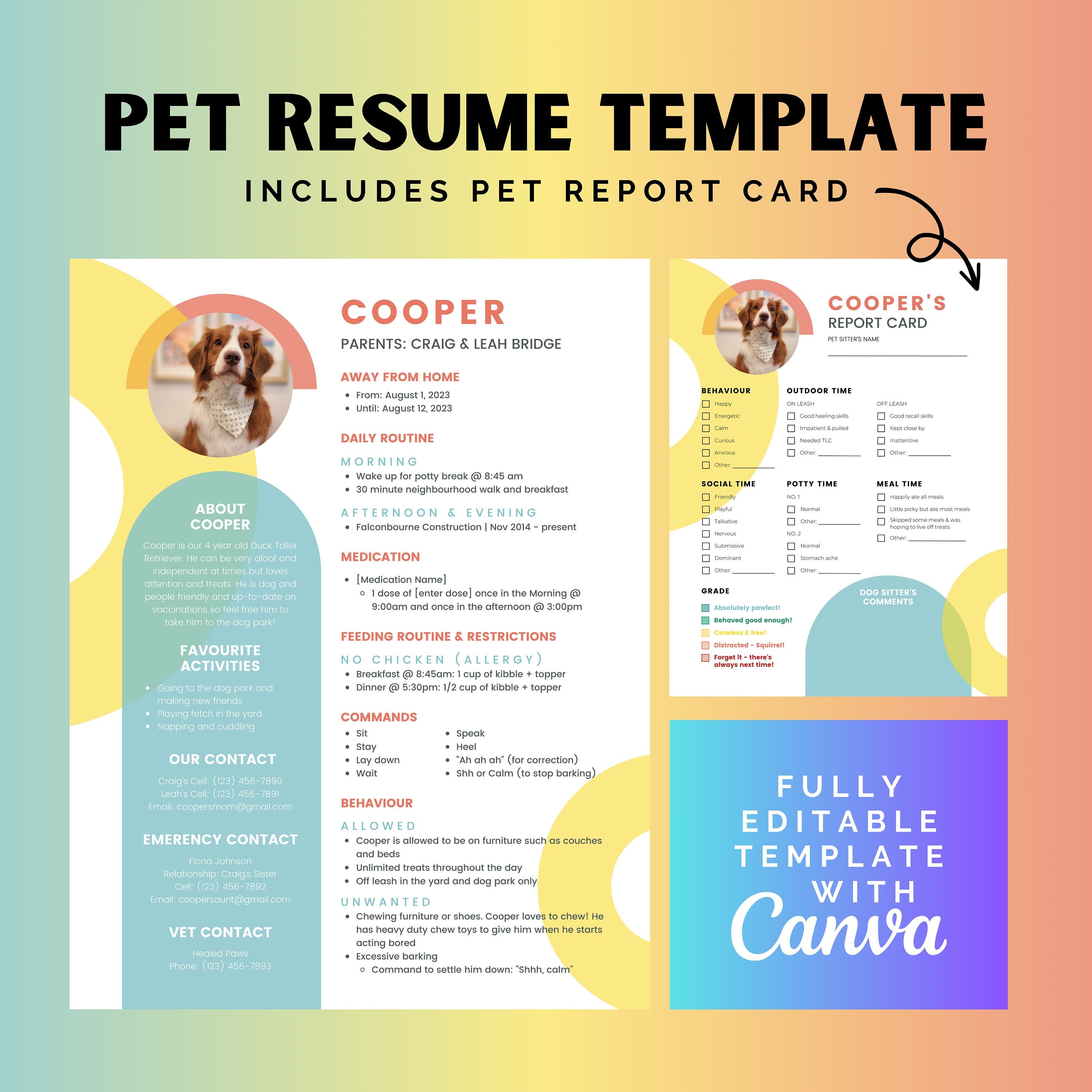 pet resume template google docs