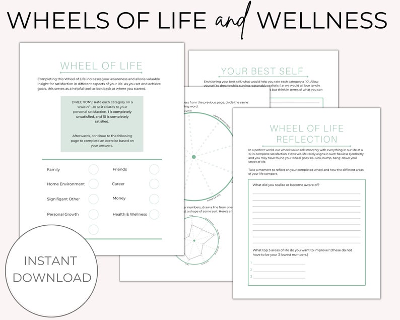 wheel-of-life-and-wellness-printable-health-assessment-etsy-m-xico