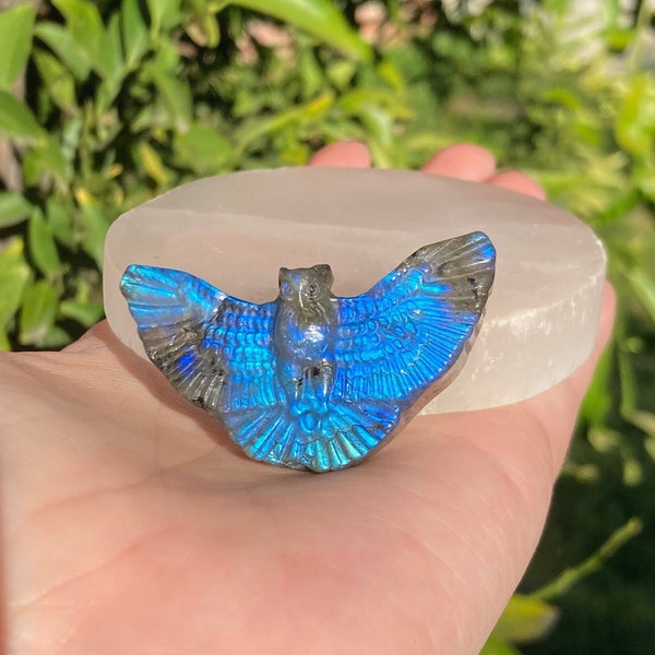 Labradorite Owl Carving Polished Labradorite Crystal Owl Sheen Labradorite Self Standing Owl Crystal Home Decor Blue Labradorite