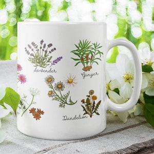 Herbalist/Forager mug| Botanical mug| Herbarium