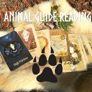 Animal Guide Reading