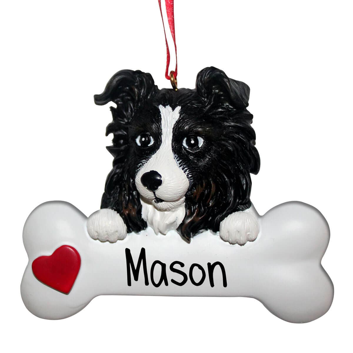 Dog Throwing Up Randomly