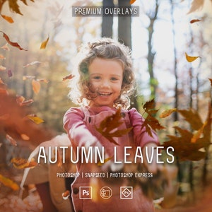 95 Autumn Leaves Overlay, Falling Leaves, Photoshop Overlays, Fall Overlays, Leaves background, Autumn Leaf, Overlays for Photoshop