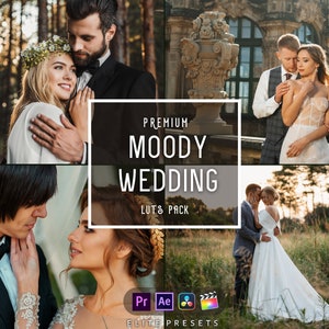 30 Moody Wedding LUTs Color Grading | Video and Photo | Mobile & Desktop | Adobe After Effects | Premiere Pro | Da Vinci | Final Cut