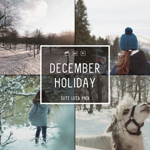 25 December Holiday Luts | Cold Winter, Christmas Holiday Luts, Minimal Christmas Effect | Rich Winter Film Luts | Video Editing