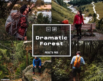 15 Dramatic Forest Landscape Presets | Lightroom Filters for Beach Vibes & Golden Hour Photography | Photo Editing | Mobile and Desktop