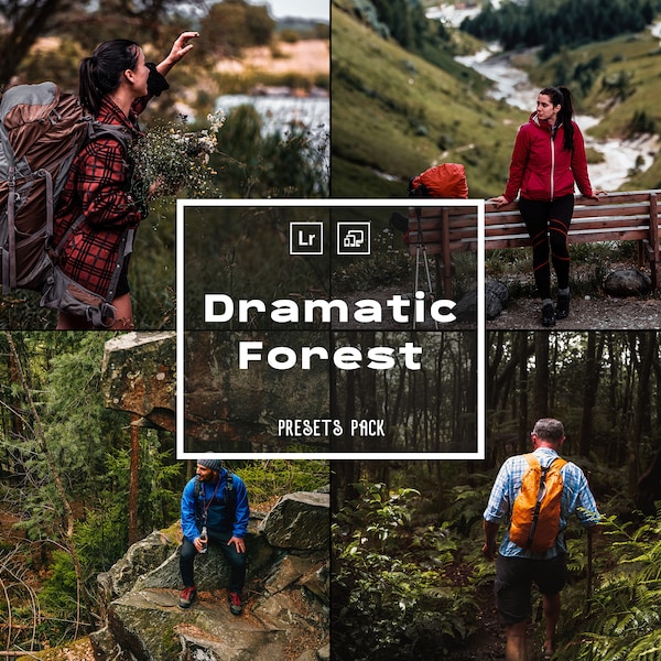 15 Dramatic Forest Landscape Presets | Lightroom Filters for Beach Vibes & Golden Hour Photography | Photo Editing | Mobile and Desktop