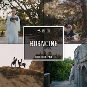 10 BurnCine Luts |Wesentliche Luts, Minimal Kinematisch, Cine Grading Effekt | Kreative Folie Luts | Videobearbeitung