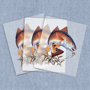 May include: Three red drum fish with orange and blue fins are depicted on a set of four translucent stickers. The fish are swimming in a sea of green seaweed.