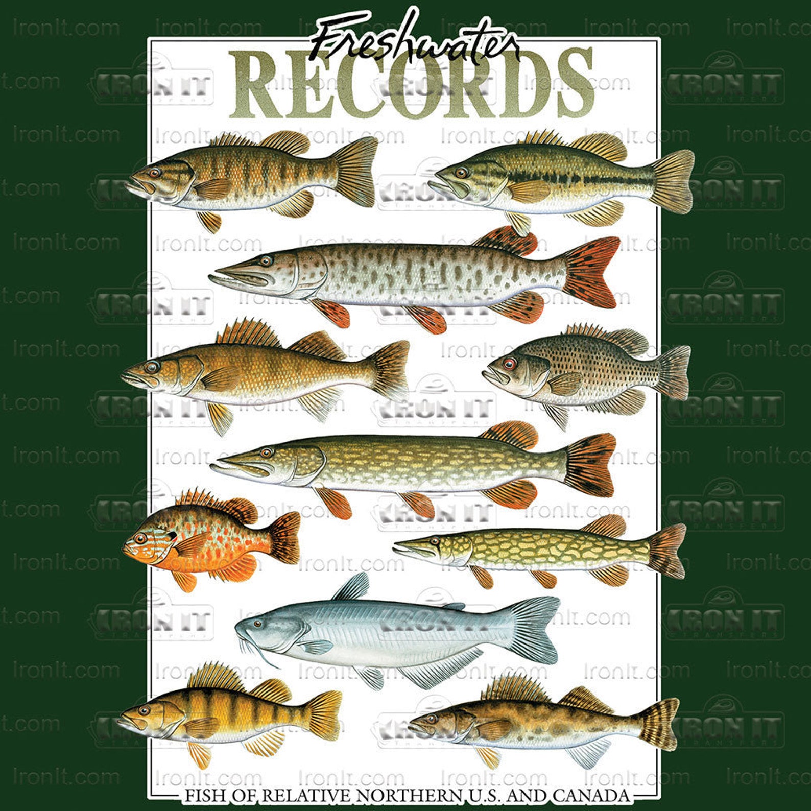 Freshwater Records Direct-to-film Transfers, Fish DTF Heat Transfer ...