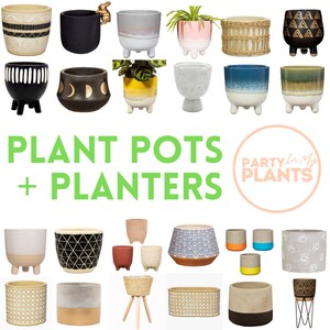 May include: A selection of plant pots and planters in diverse styles and colours. Designs include geometric patterns, textured finishes, and woven textures. The text "PLANT POTS + PLANTERS" is displayed in green, with a circular logo that says "Party In My Plants".
