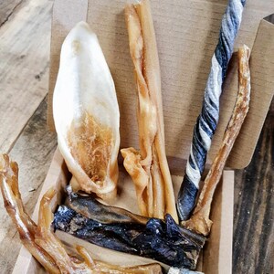 May include: Assortment of dog chews in a cardboard box. The chews include a pig ear, a bully stick, a braided rawhide chew, a chicken foot, and a fish skin chew.