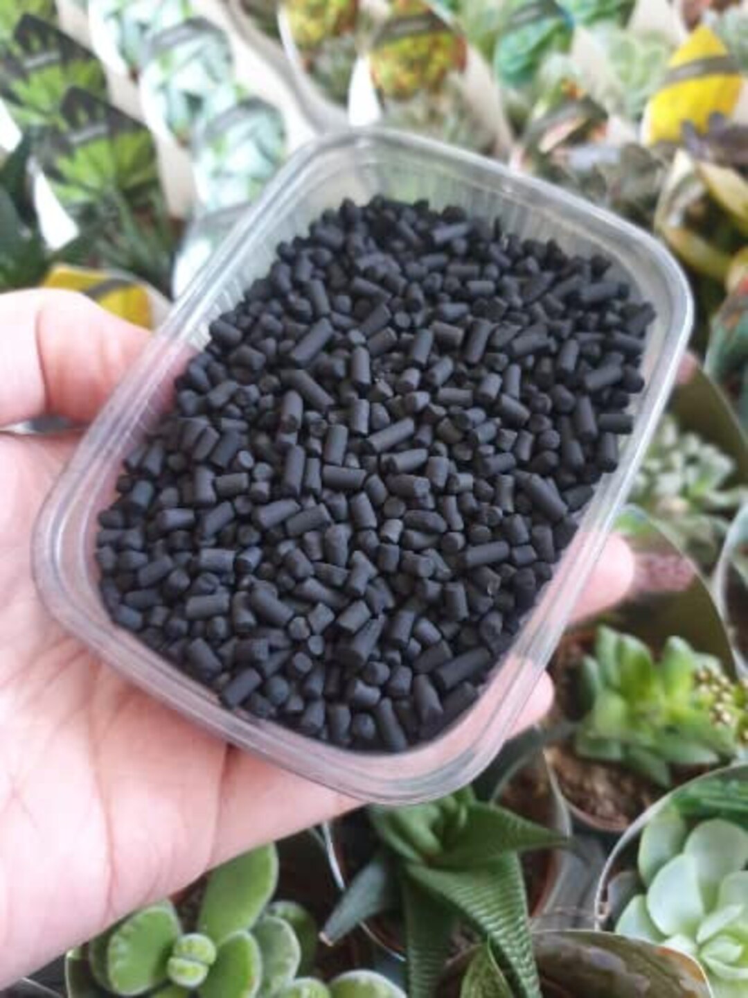 Activated Charcoal Carbon for Terrariums Mossariums Paludarium Etsy UK