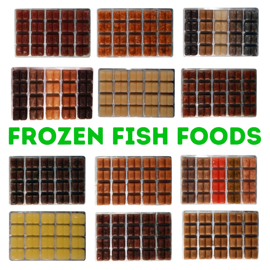 Frozen Fish Food Tropical Marine Bloodworm Brine Shrimp Cichlid Discus