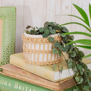 May include: A small, round white planter with a woven, light brown basket-like design. The planter is filled with a green plant with heart-shaped leaves. The planter sits on top of a stack of old books.