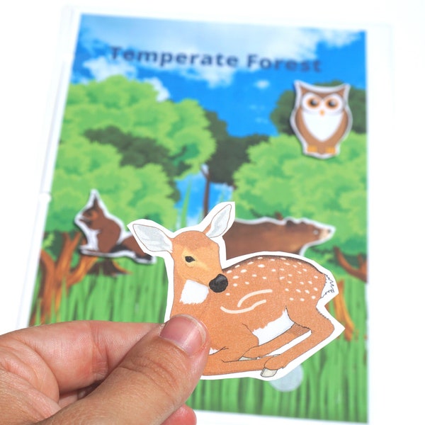 Temperate Forest Printable Matching Activity for Preschool Learning Book | Pre-K Biome Busy Book | Science at Home | STEM for Little Kids