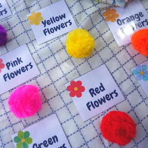 May include: A set of colorful pom-poms with matching cards that say "Purple Flowers", "Yellow Flowers", "Orange Flowers", "Pink Flowers", "Red Flowers", "Blue Flowers", and "Green Flowers".