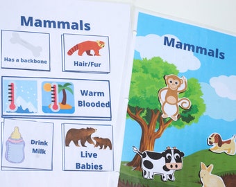 Mammal Classification Activity for Printable Busy Book | Animal Identification | Pre-k Science & Zoology | Mammal Unit | What is a Mammal?