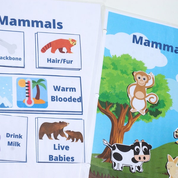 Mammal Classification Activity for Printable Busy Book | Animal Identification | Pre-k Science & Zoology | Mammal Unit | What is a Mammal?