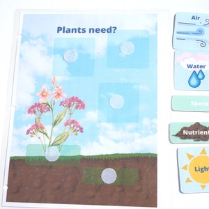 What Plants Need Printable Activity for Pre-K Science Busy Book | Nature Unit | Garden Theme | Plant Study | Preschool at Home | Biology