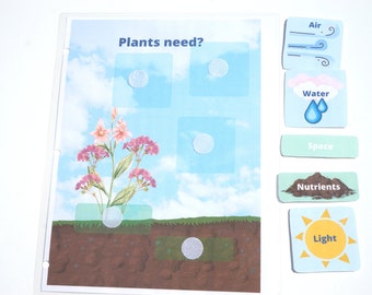 What Plants Need Printable Activity for Pre-K Science Busy Book | Nature Unit | Garden Theme | Plant Study | Preschool at Home | Biology