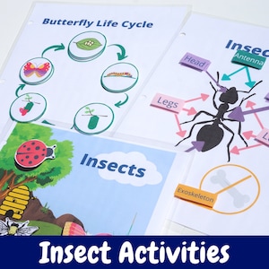 Pre-k Insect Activity Bundle for Busy Book | Animal Classification | Preschool Butterfly life cycle | Science Education Printable | Prek Bug