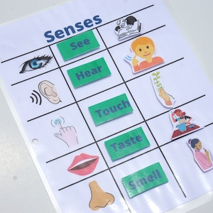 5 Senses Matching Busy Book Activity | Pre-k Printable Human Body Activity for Preschool at Home | Preschool Learning Binder Senses Download