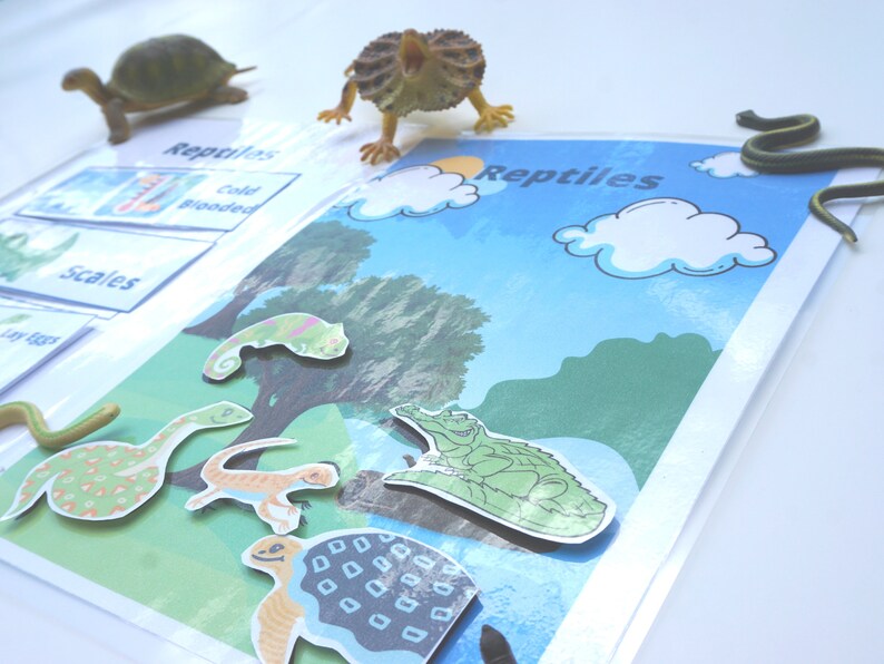 Pre-k Reptile Classification Printable Activity for Busy Book Preschool