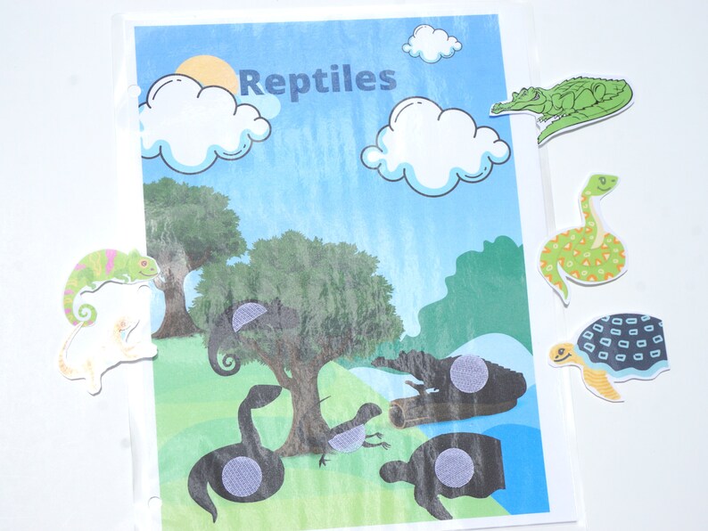 Pre-k Reptile Classification Printable Activity for Busy Book Preschool