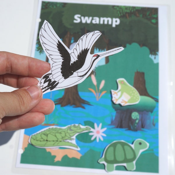 Swamp Animal Habitat Printable Activity for Learning Book | Pre-K Busy Book |Biomes Unit | Preschool Science | STEM Activity at home