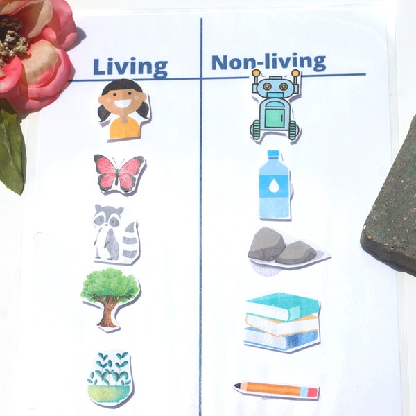 Living vs Non-living Things Printable for Pre-K Activity Binder | Preschool Science Busy Book | Science Unit | STEM Toddler Quiet Book