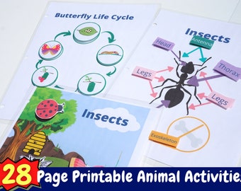 Pre-k Animal Busy Book Printable Activity | Animal Classifications | Insects, Mammals, Fish, Reptile, Amphibian, Bird |Preschool Science