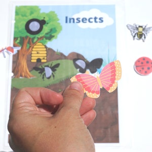 Pre-k Insect Activity Bundle for Busy Book | Animal Classification ...