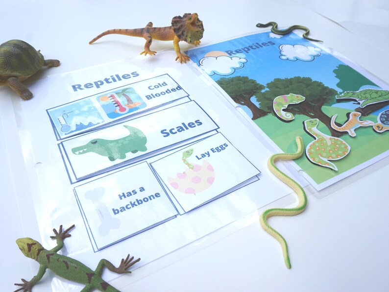 Pre-k Reptile Classification Printable Activity for Busy Book Preschool