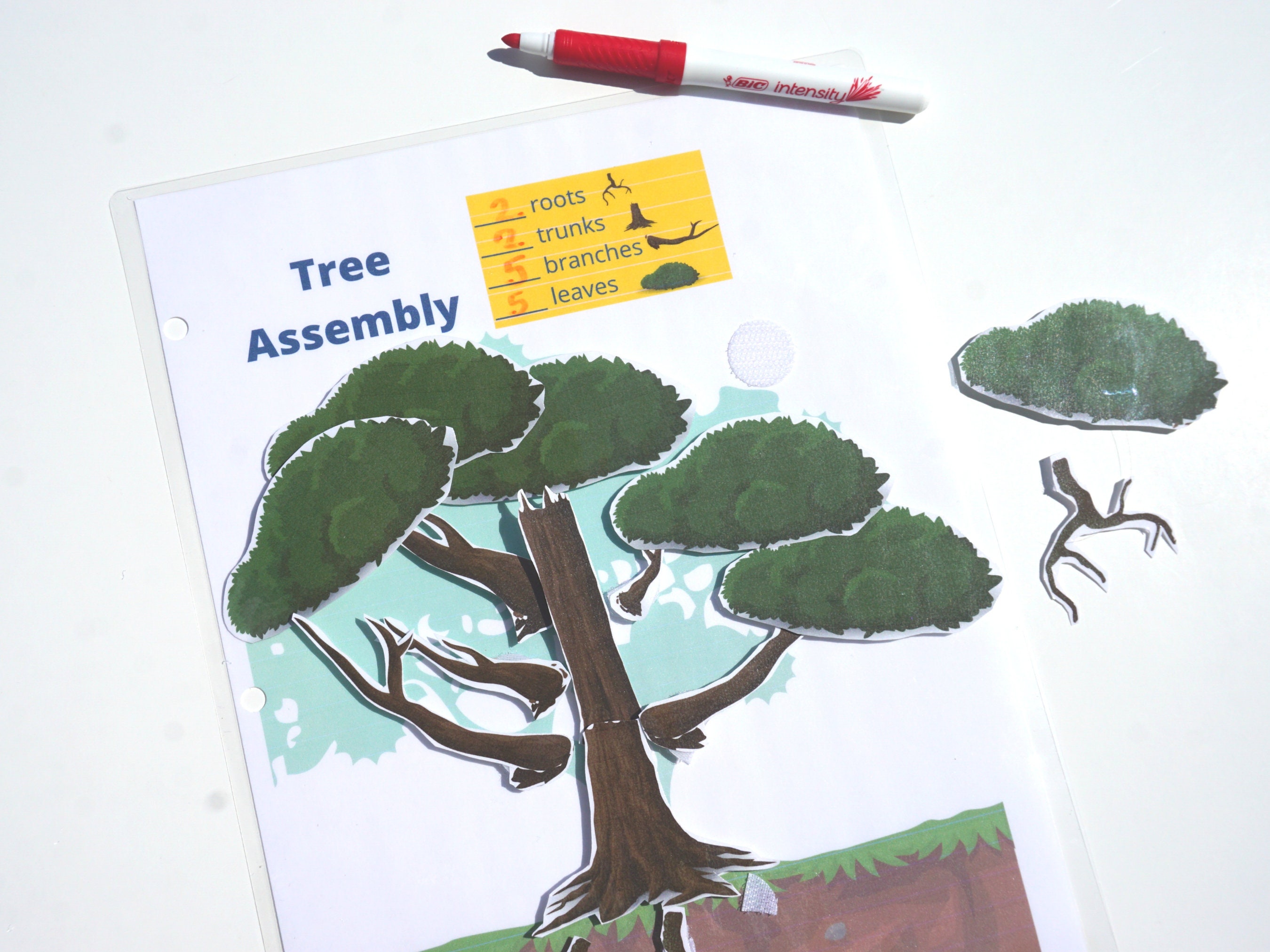 Build A Tree Printable Activity for Prek Science Busy Book Garden