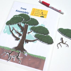 May include: A printable tree assembly activity for kids. The worksheet includes a tree with roots, trunks, branches, and leaves. The pieces are cut out and assembled to create a complete tree.