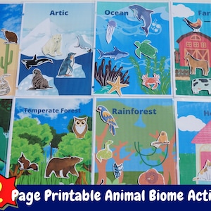 Animal Biome Busy Book Printable Activity | Pre-k Science | Preschool ...