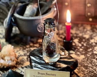DIVINE DRAGON Home Protection Hanging Spell Bottle | Protection from bad energy and spirits | Inspired by Dragons | Witchcraft Curio