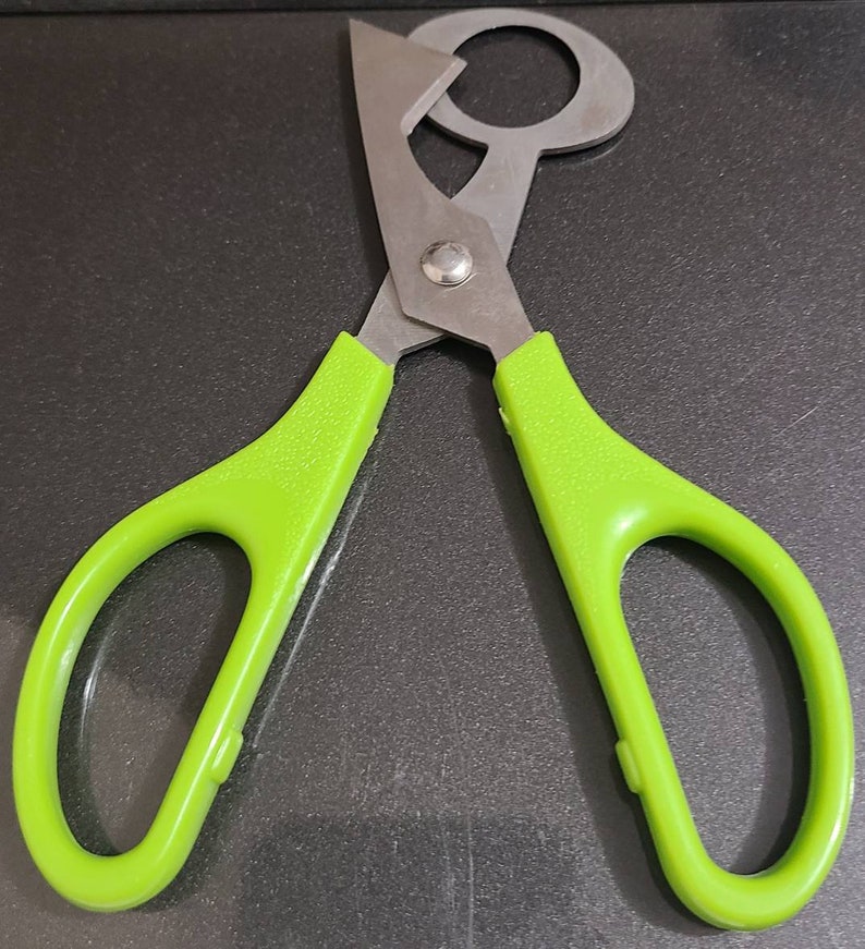 Quail Egg/small Egg Scissors Etsy