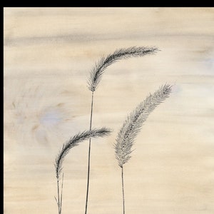Giclée ink plant print reproduction of fountain grass in black on colorful hand dyed (walnut ink in blue, orange, and red) background