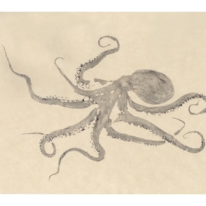 Gyotaku fish print of California two-spot octopus in black sumi ink on tan-gold paper background, giclée reproduction on fine art paper